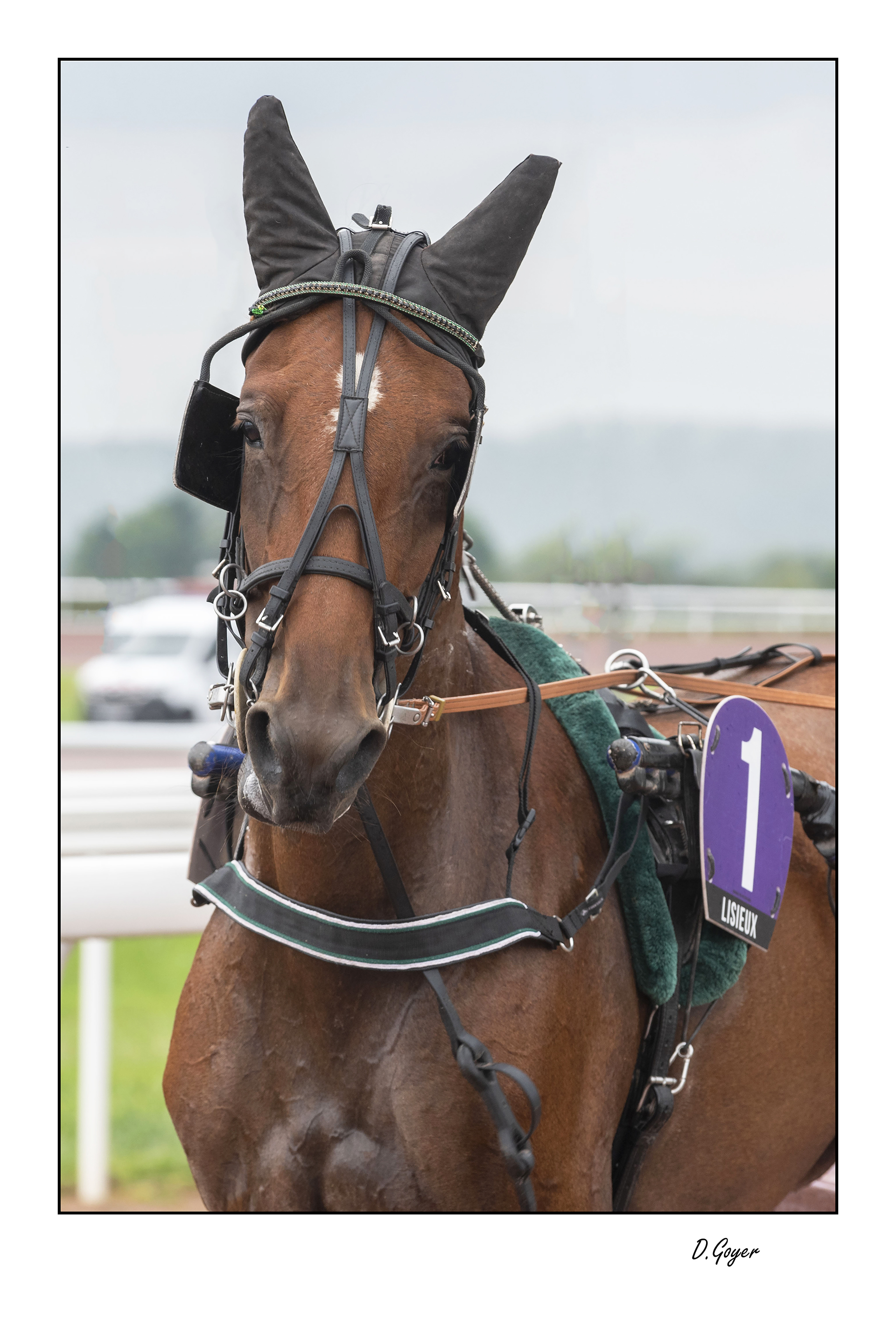 Le regard PRINTDSC 4492.1 A imprimer